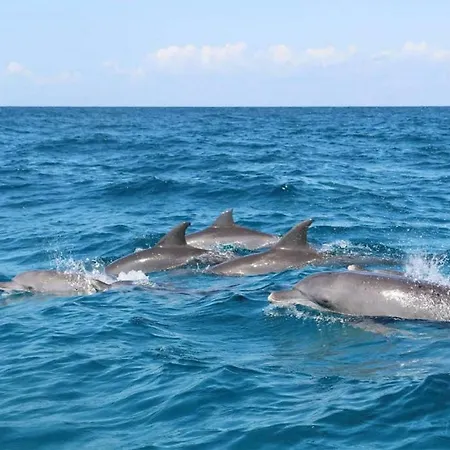 Paraiso. Heated Pool Lantställe