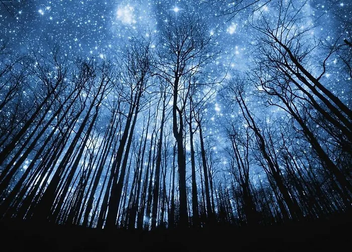 Paraiso. Heated Pool