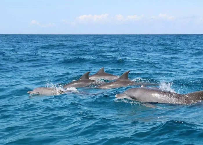 Paraiso. Heated Pool Landhaus