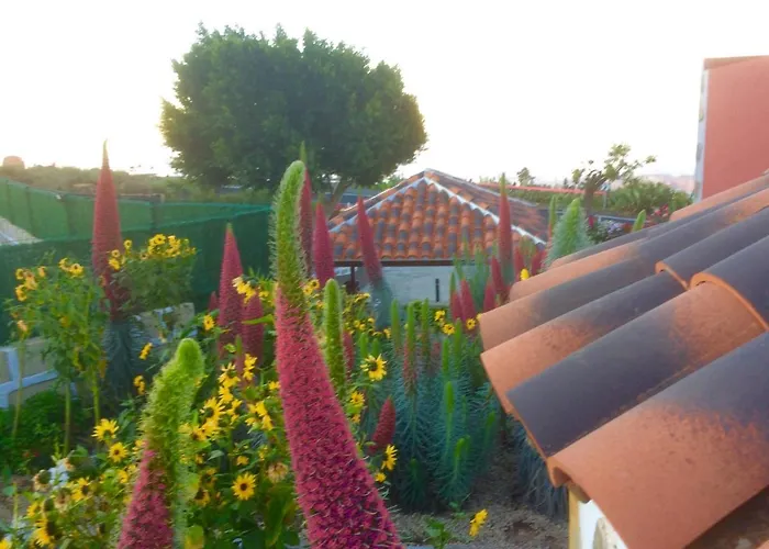 Paraiso. Heated Pool