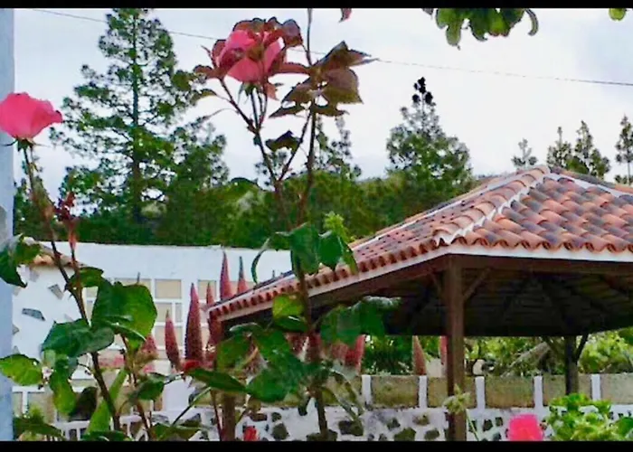 Paraiso. Heated Pool Landhuis Vilaflor